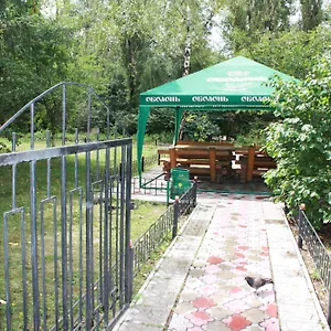 выдубичи Киев